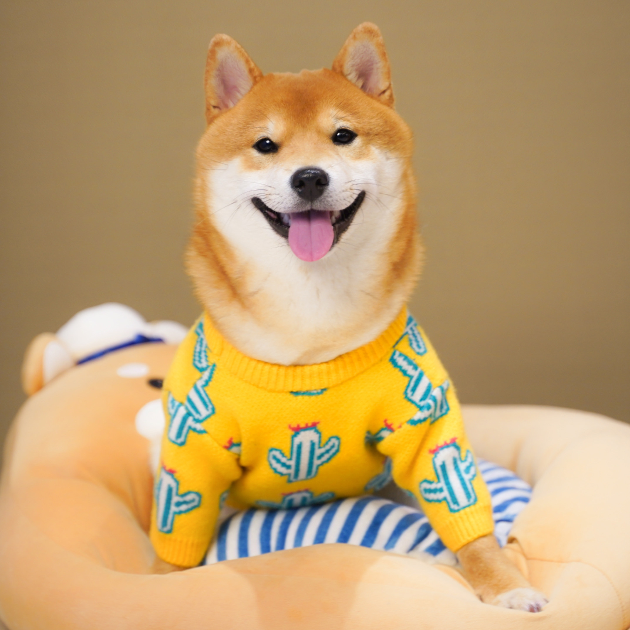 柴犬秋冬毛衣网红狗狗可爱衣服套头针织衫保暖宠物服装