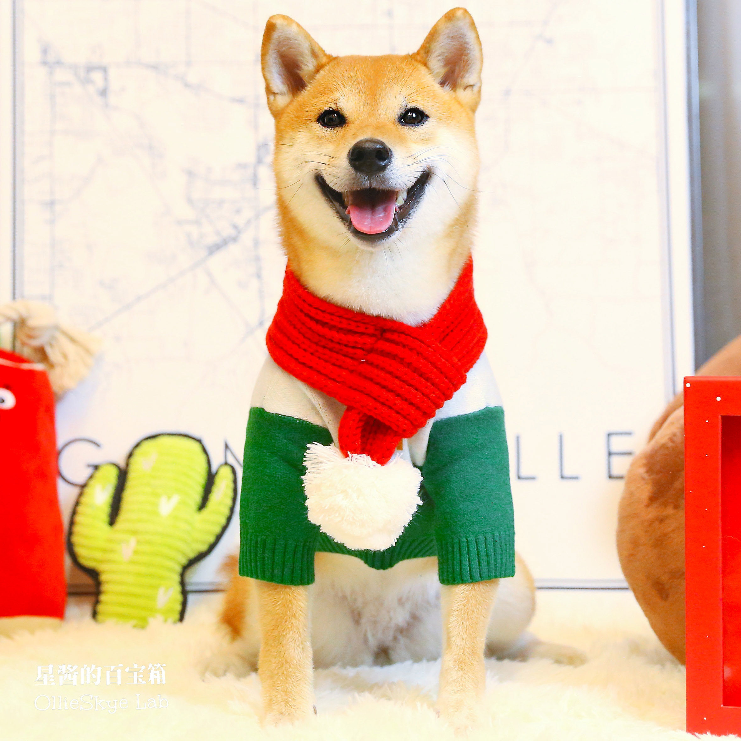 毛衣柴犬秋冬可爱圣诞新年衣服套头保暖针织衫狗宠物服装