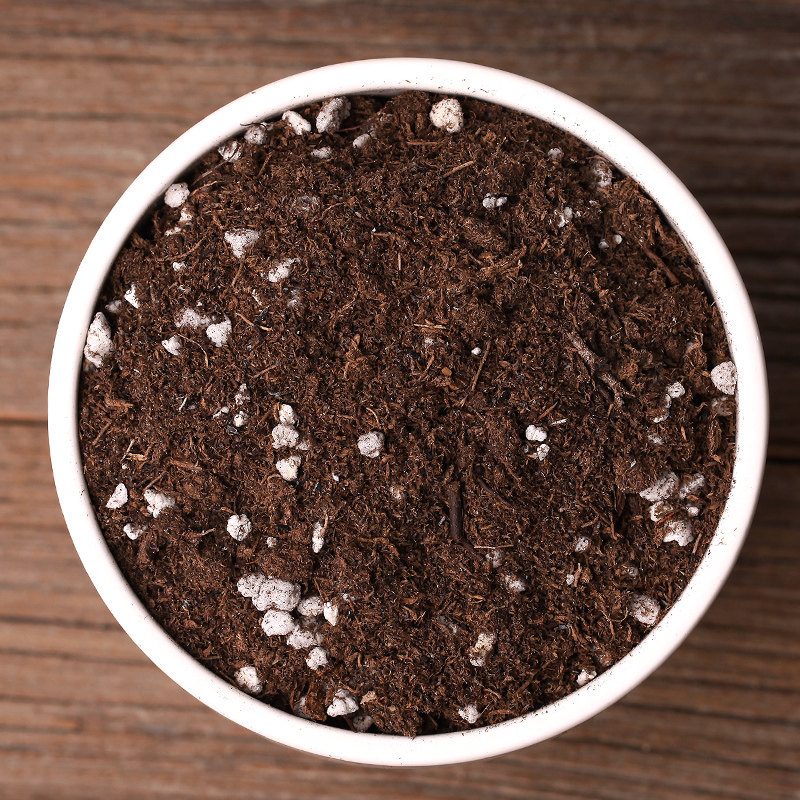 多肉植物土营养土通用土壤泥炭ph7.0杀虫杀菌防霉肥料多肉 专用土