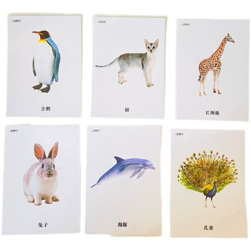 初级动物认知实操卡片自闭症儿童语言发育迟缓早教闪卡