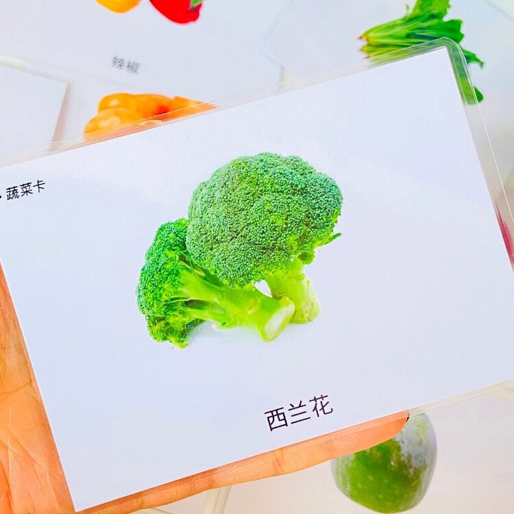 训练初级蔬菜认知实操卡片自闭症aba语言迟缓玩具挂图