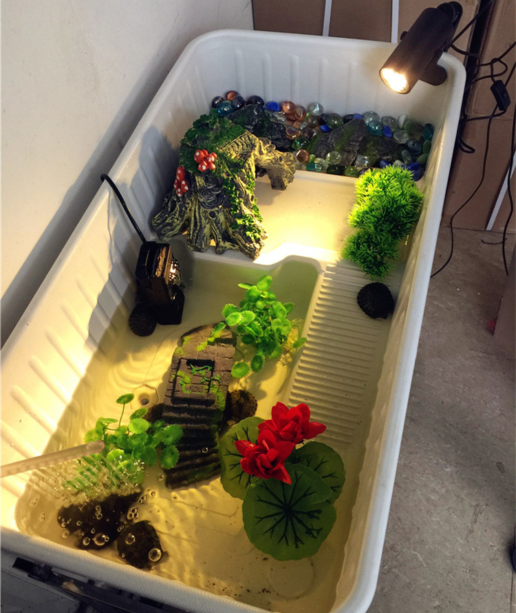 龟箱龟池排水巴西龟草龟黄缘鳄龟南石种龟乌龟鱼缸