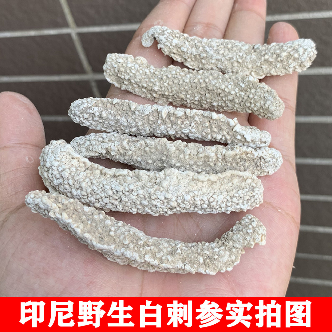 野生白刺参印尼进口淡干网红刺秃参刺王参米海参海参