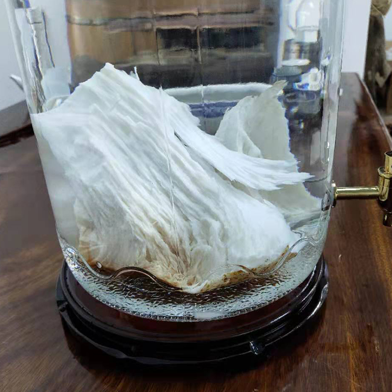 纯天然野生太岁水肉灵芝活性泡水养生高浓度太岁水5斤