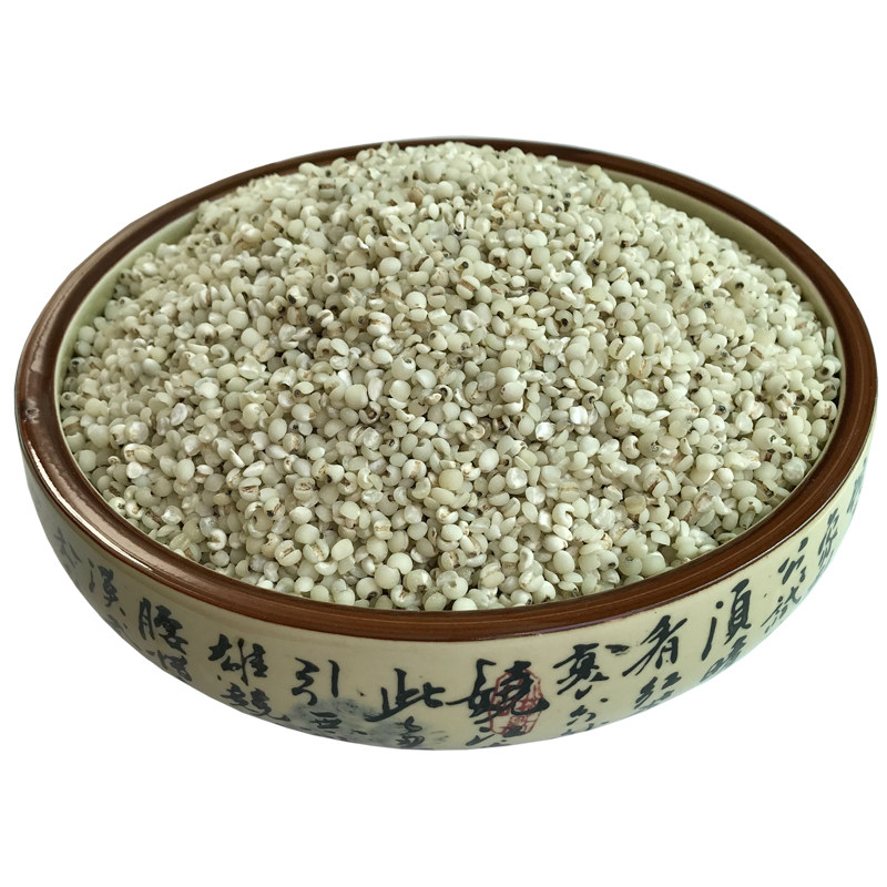 新鲜薏米现脱壳白薏米糯薏仁米贵州兴仁药小粒薏苡仁五谷杂粮500g