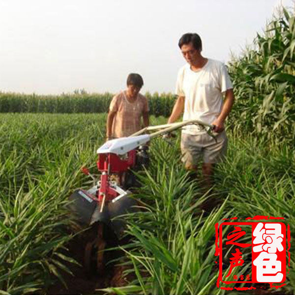 培土机新式大姜开沟烟草封土机甘蔗专用大马力田园耕种机械
