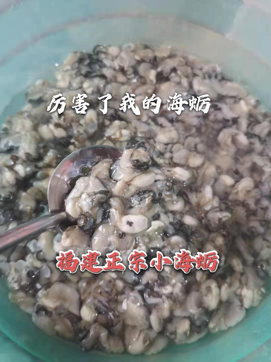 牡蛎无泡新鲜海小生剥小活现蛎鲜小海福建5斤生蚝