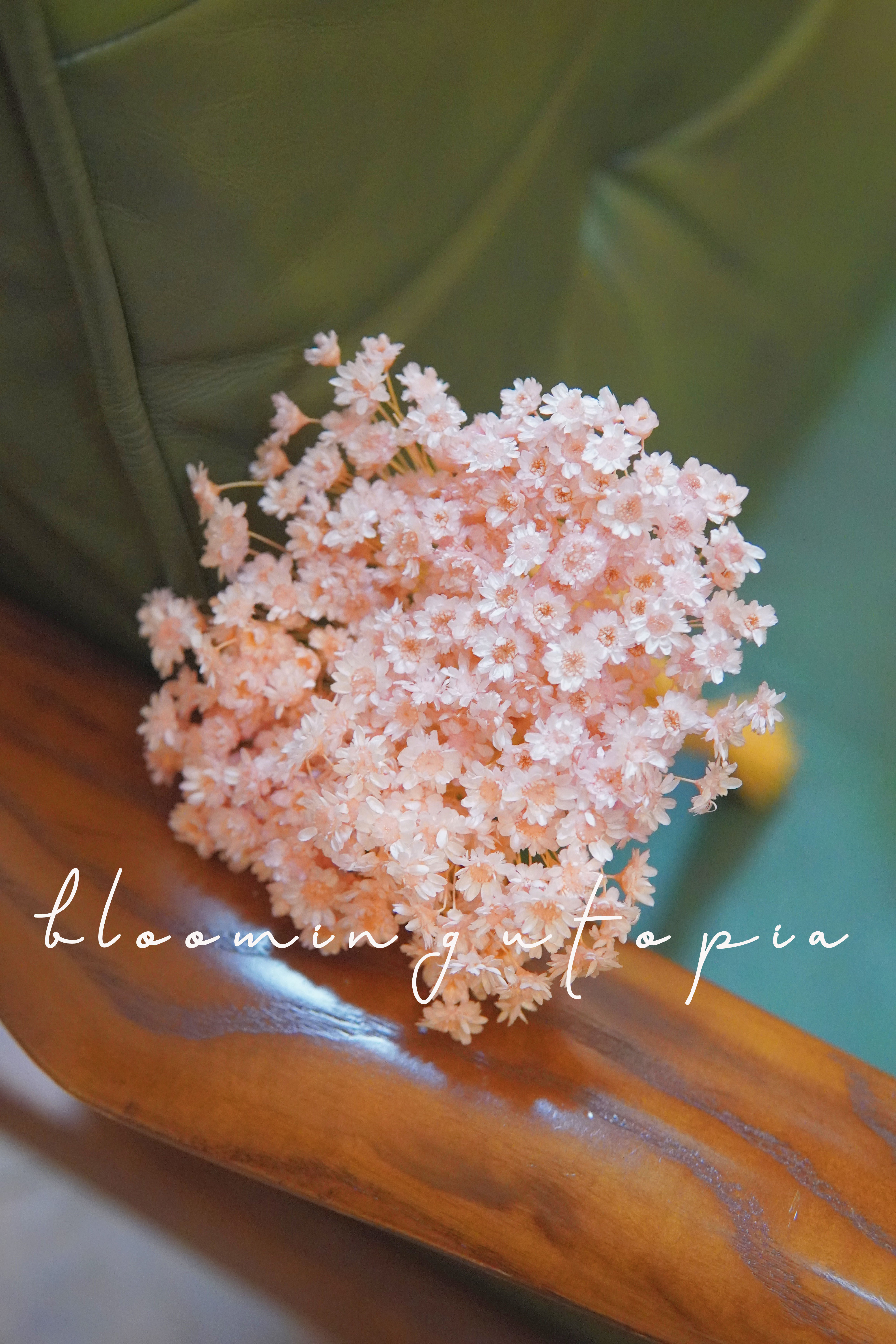 小清新ins风北欧风迷你花小星花菊花日本进口干花