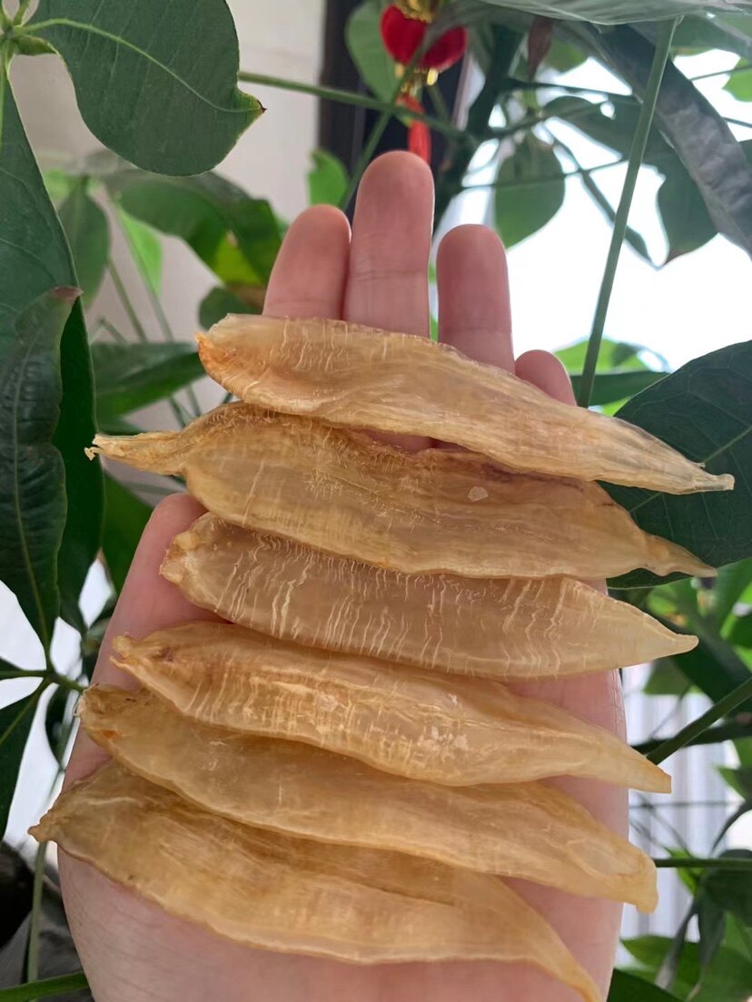 小金金龙金龙鱼鱼胶汕头南澳特产干货月子滋补花胶