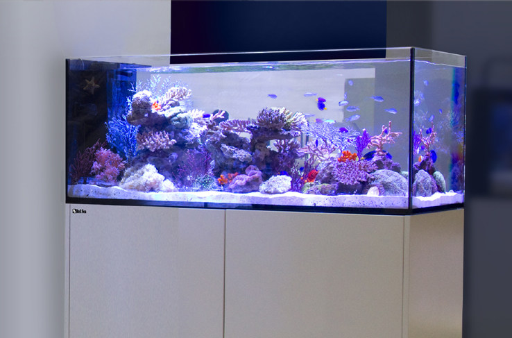 鱼缸以色列红海reefer170豪华超白海水套缸珊瑚鱼缸