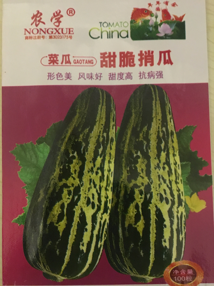 香瓜东北种子麻瓜种籽甜宝沙白羊角蜜烧种孑家庭园艺种子