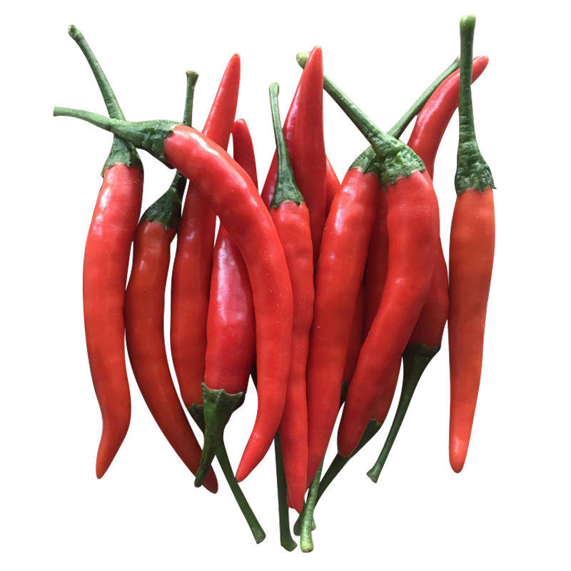 小米米辣椒新鲜特辣红辣椒农家自种朝天椒剁椒特辣椒