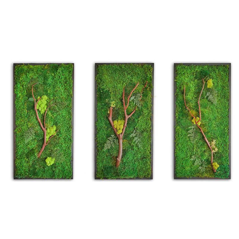 植物绿植永生苔藓绿色干花立体艺术背景墙装饰现代装饰画