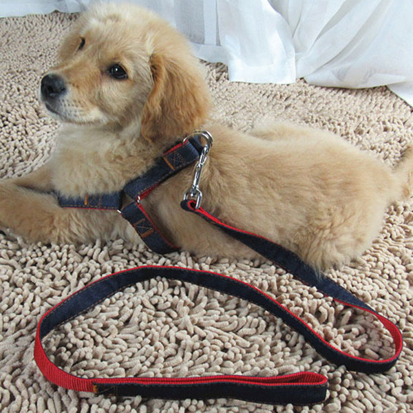 牵引宠物大中小型犬狗绳子狗链金毛泰迪贵宾萨摩家用牵引带