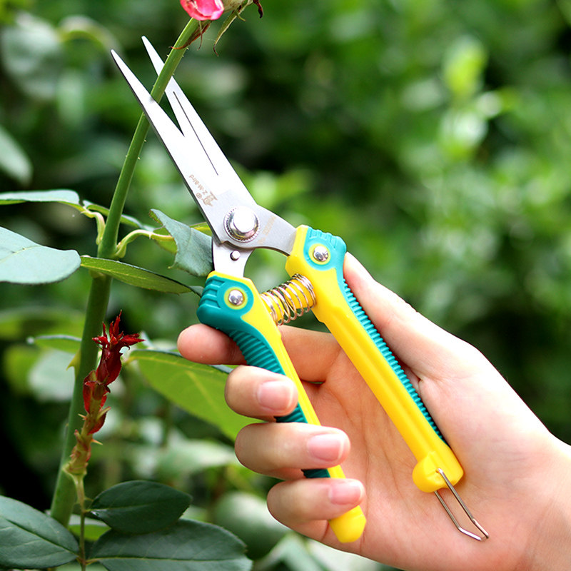 家用花卉盆栽多肉植物修枝树枝果树细枝修剪剪刀