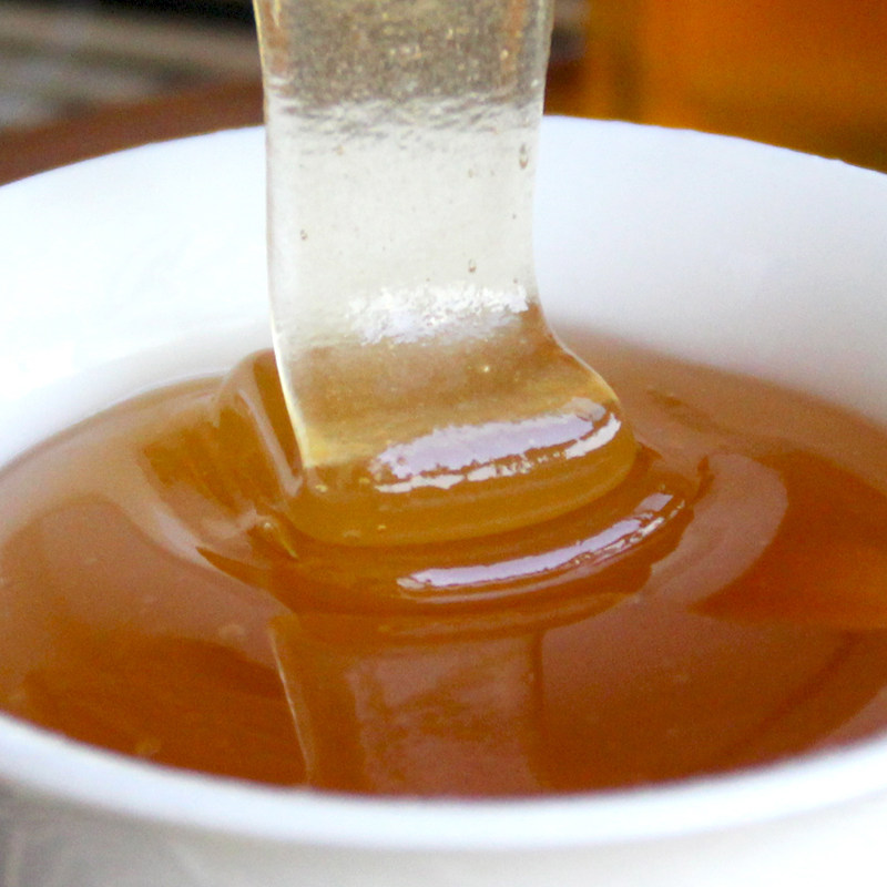 广东茂名高州龙眼蜜原蜜自然无添加不加糖土蜂蜜500g