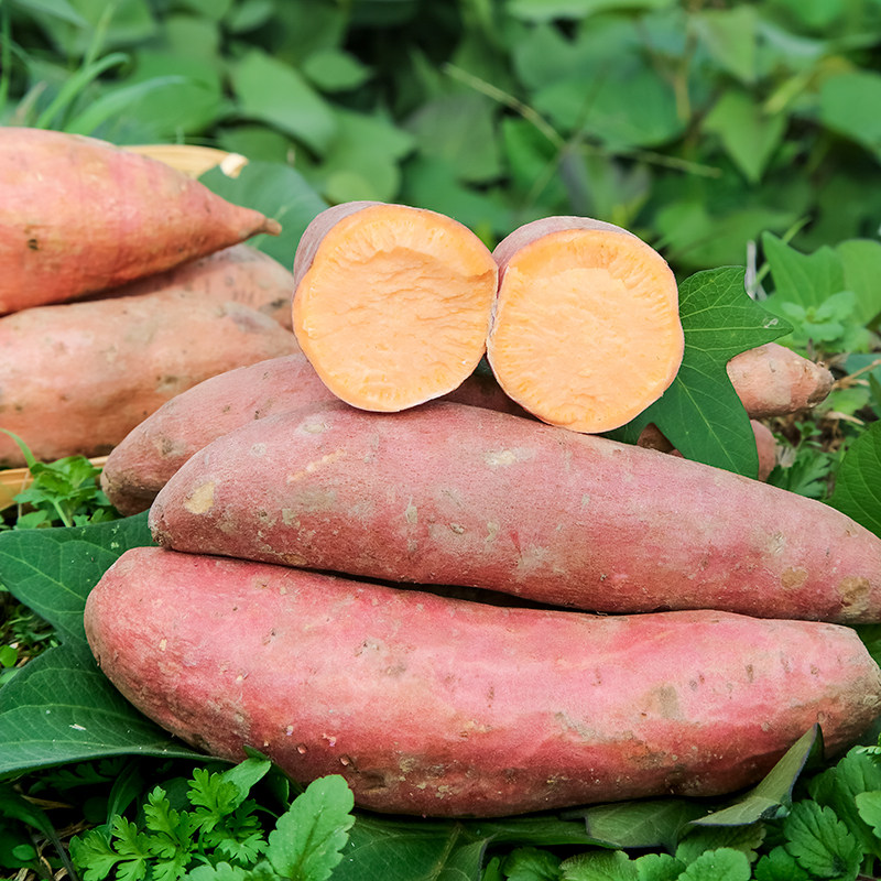 福建红心六鳌蜜薯新鲜沙地糖心红薯超甜农家番薯