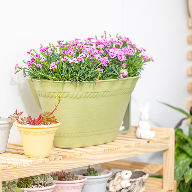 花盆爱丽思壁挂式彩色长形阳台加厚树脂爱丽丝多肉花盆