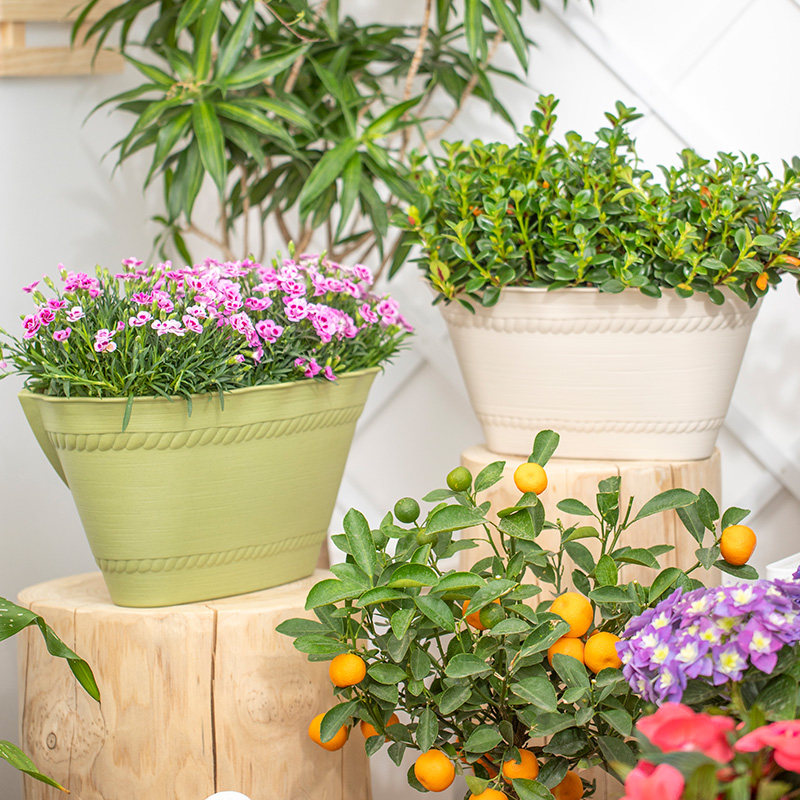 花盆爱丽思壁挂式彩色长形阳台加厚树脂爱丽丝多肉花盆