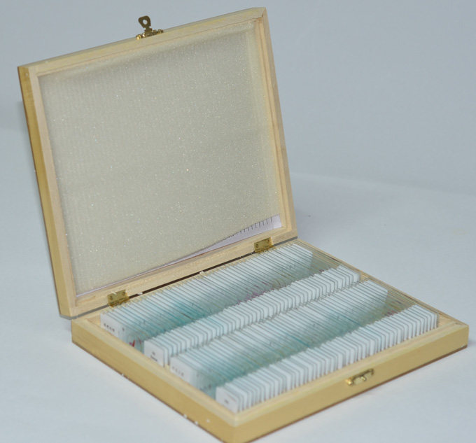 标本玻璃盒子适合放置7.6x2.5cm塑料100片50片12片科学实验