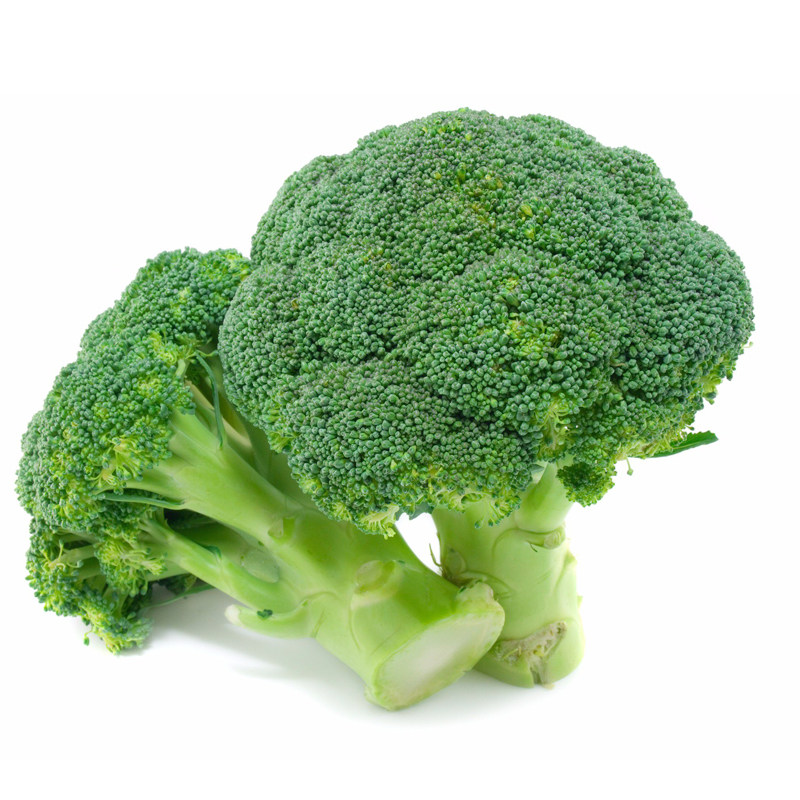 文兴西兰兰花种籽青花花菜花椰菜种子春夏秋冬四季家庭园艺种子