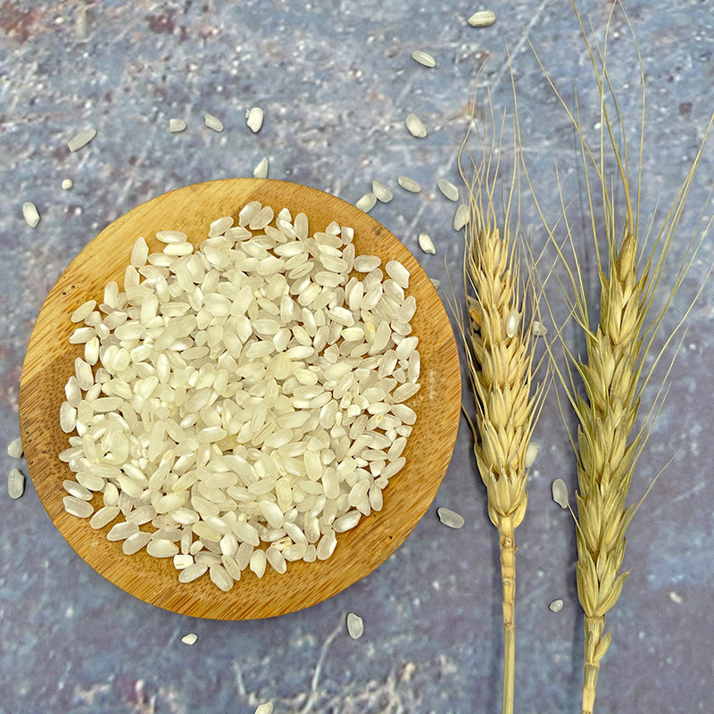 肠粉米阳春珍桂大米5斤试用装早米陈米春湾河粉大米