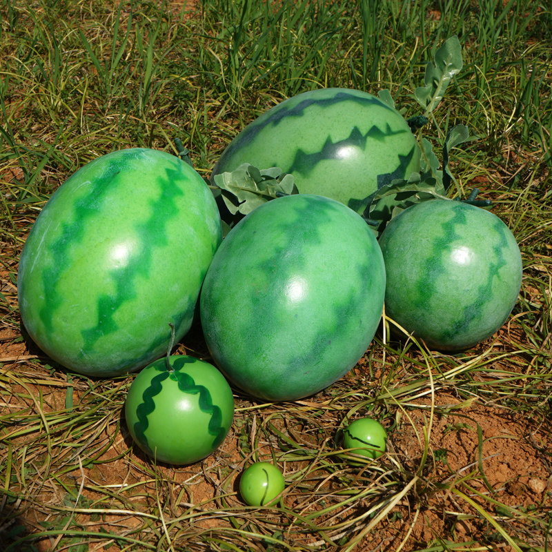 仿真西瓜模型假西瓜片水果蔬菜摄影居家装饰早教仿真水果