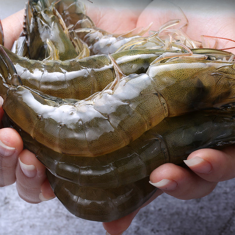 4斤国产海捕白湛江鲜冻生大虾基围对虾海鲜烧烤冻虾