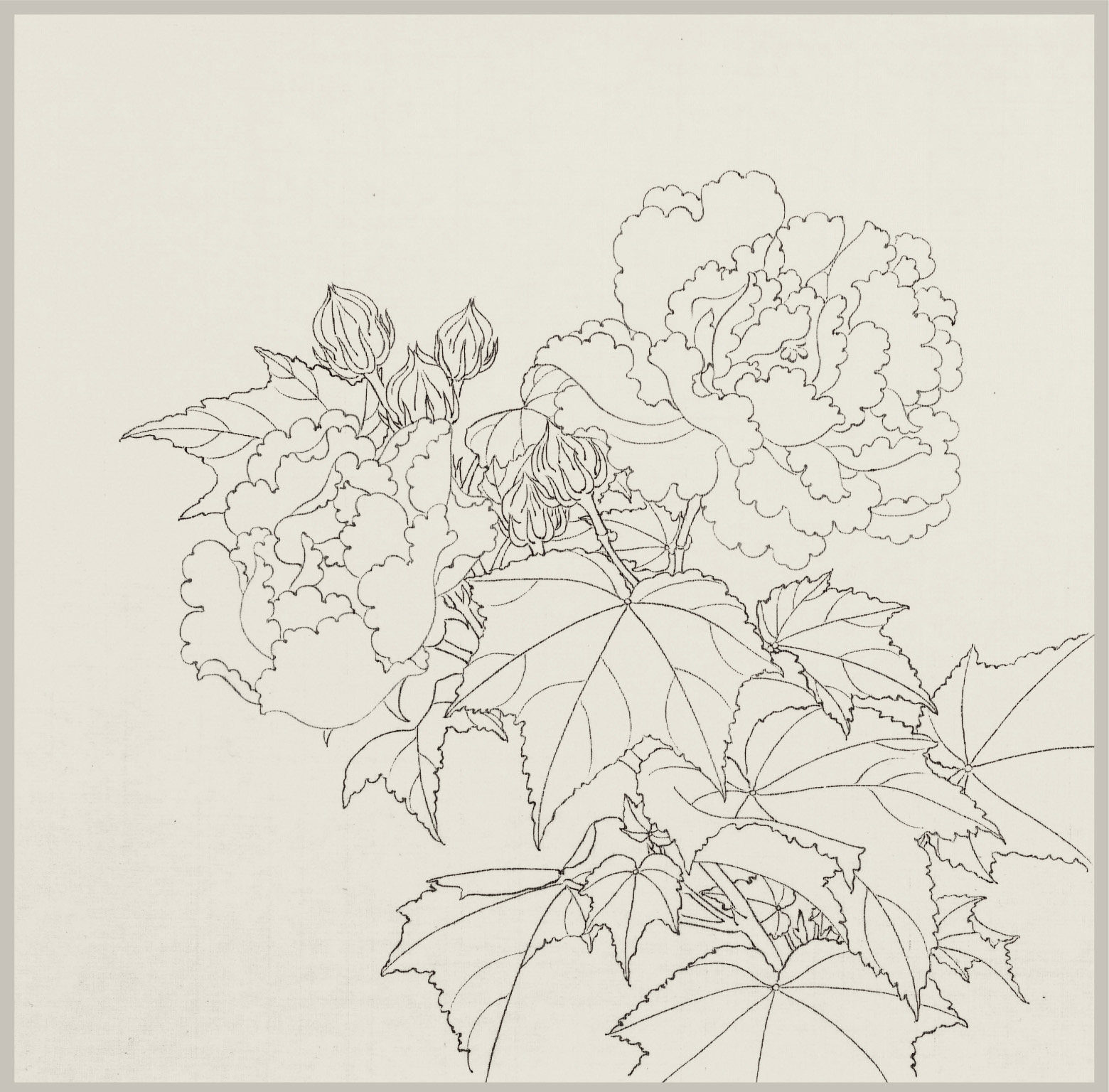 临摹 中国画学国画花草 江西美术出版 原大高清白描样稿临摹示范步骤