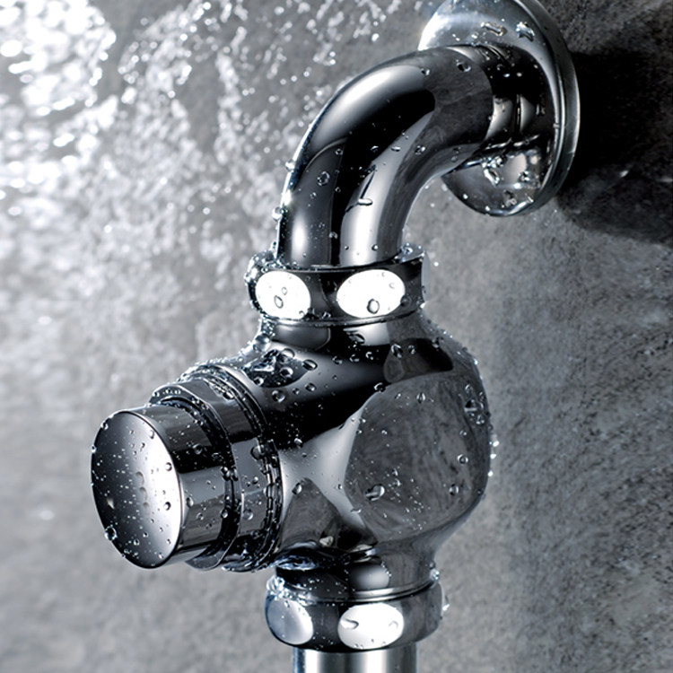 冲水全铜阀手按式明装延时厕所单双入按压大便普通冲水阀