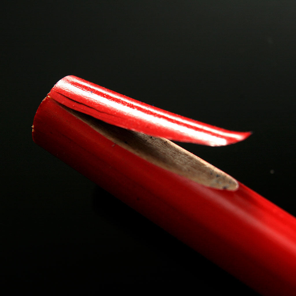 败家实验室高逼格专治各种龙鸟派犀水中华红蓝铅笔铅笔