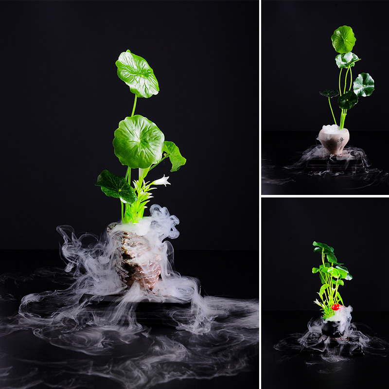 装饰酒店日料刺身摆盘花草菜品冷菜点缀装盘寿司套件