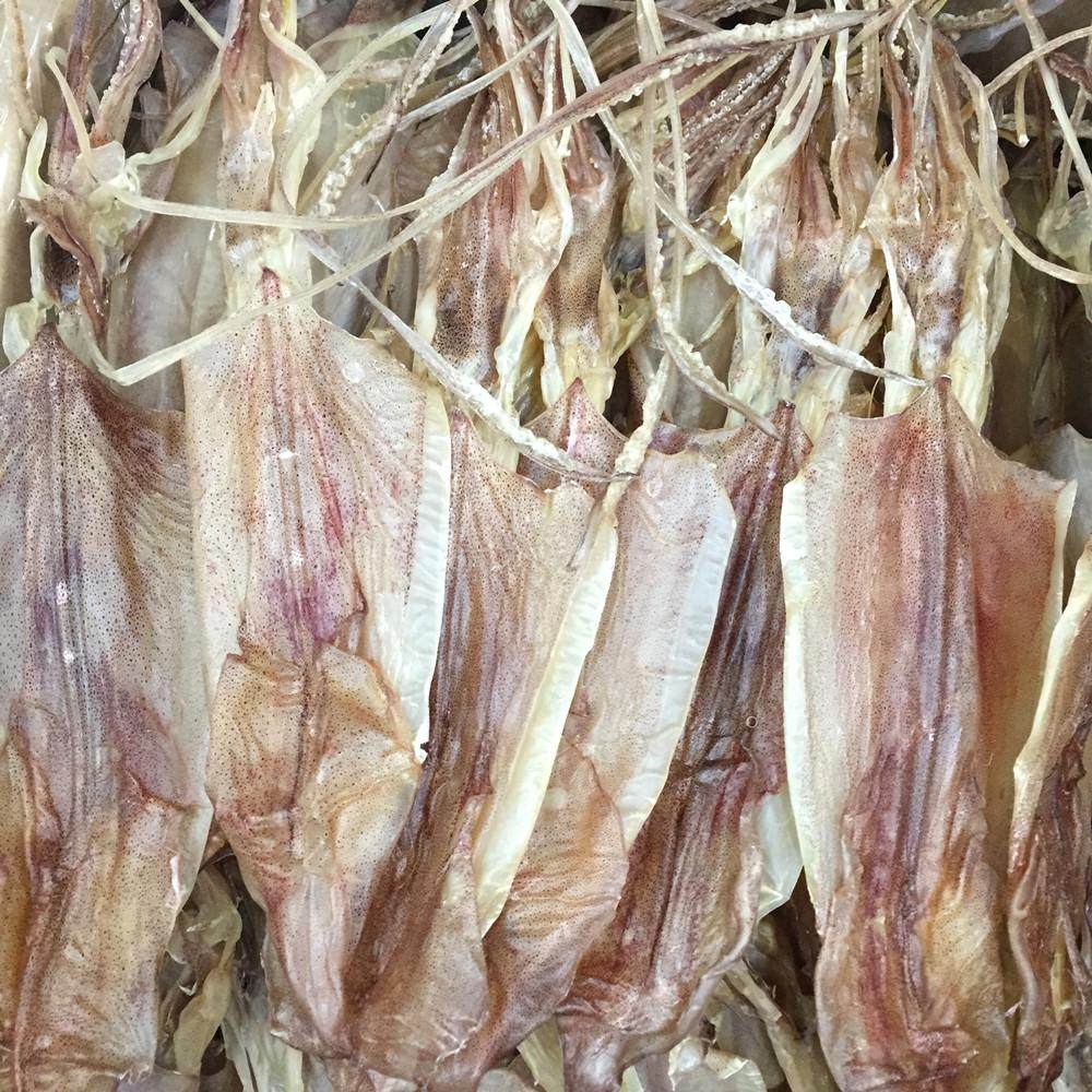 南澳特产本港大鱿鱼干淡晒深海尤鱼
