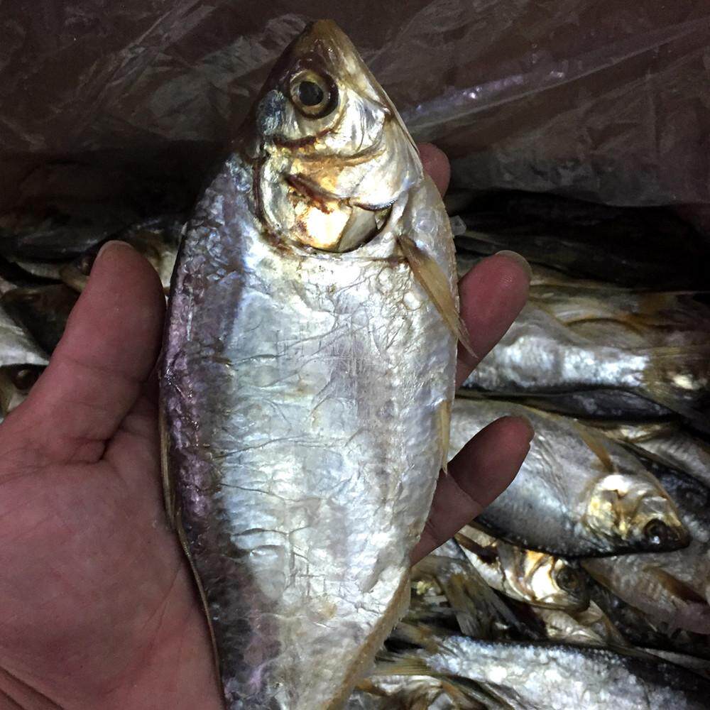 包邮深圳南澳广东咸鱼特产大黄鱼黄花鱼海味水产鱼干