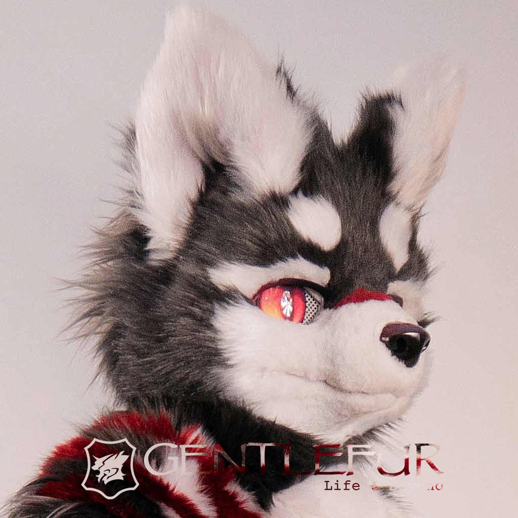 gentlefur兽装全身定做全装定制展示一一软件cosplay配件