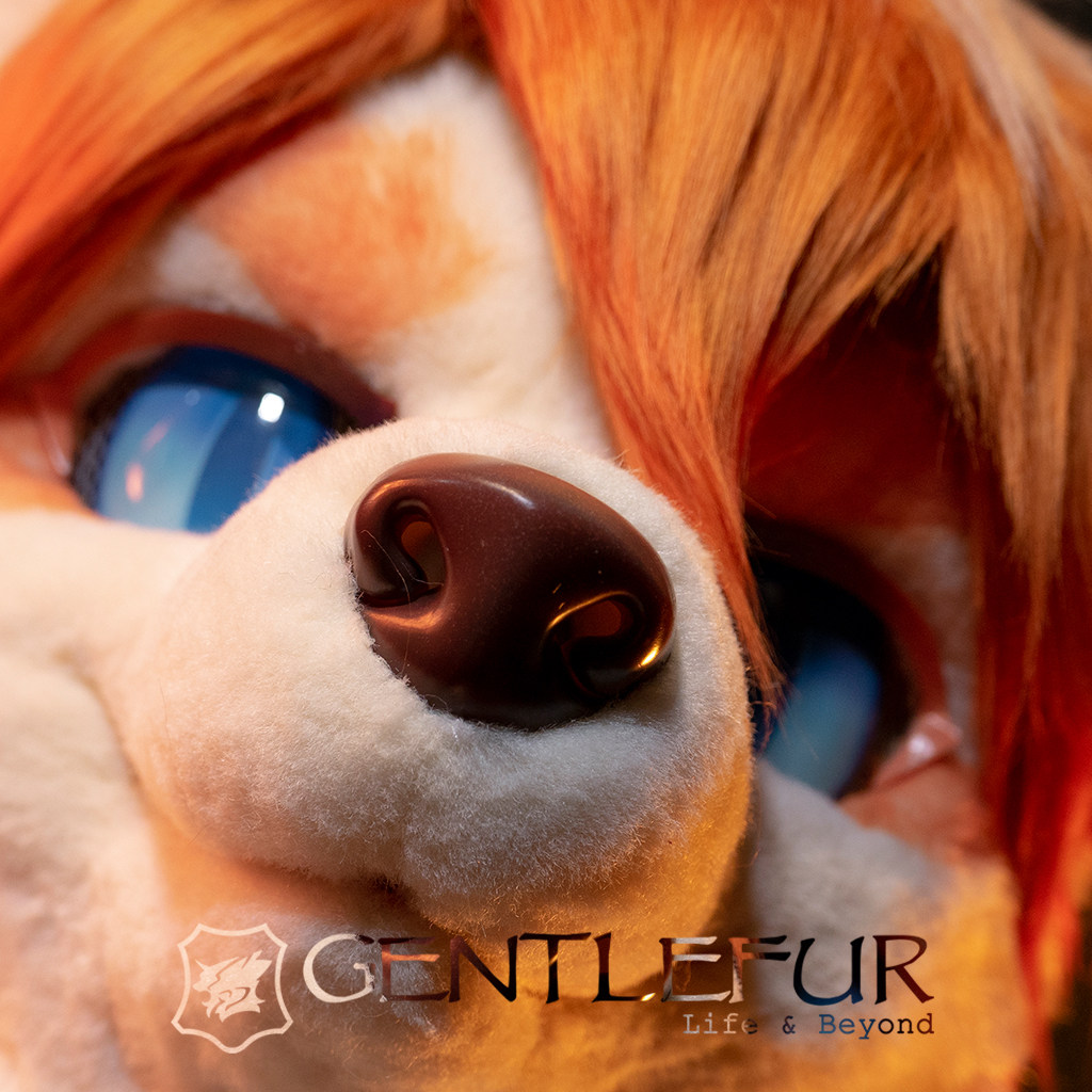 gentlefur兽装头套定做fursuit定制展示一一余玄cosplay配件