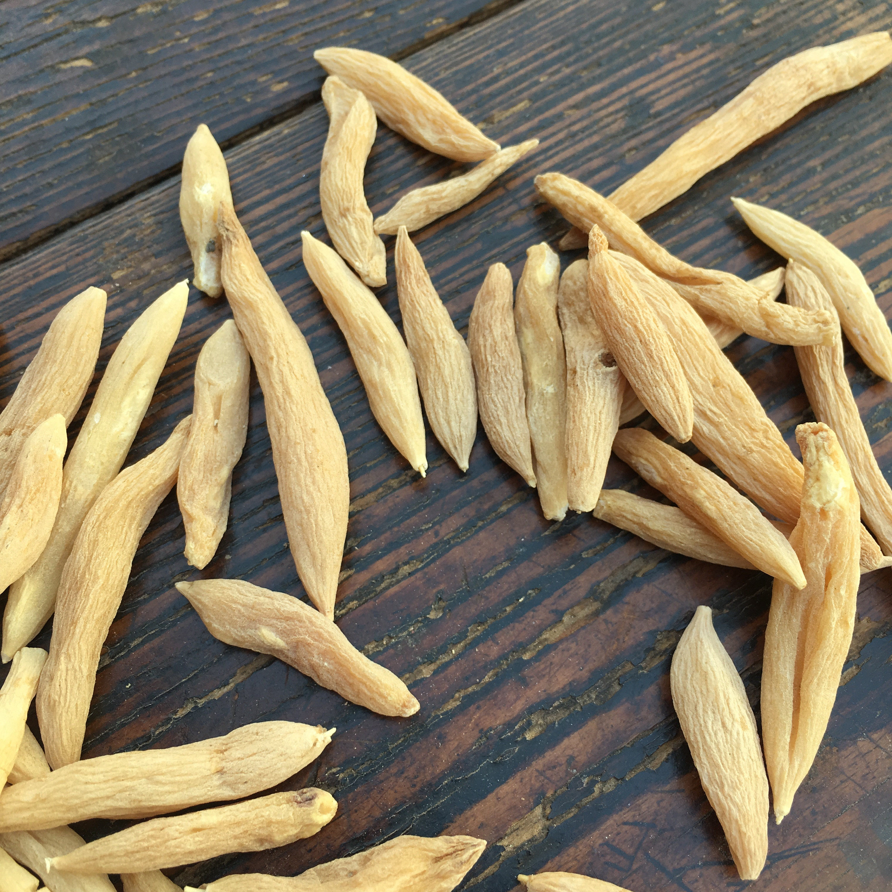 麦冬干货新干货甘草大海黄芪500克可配泡茶水泡麦冬