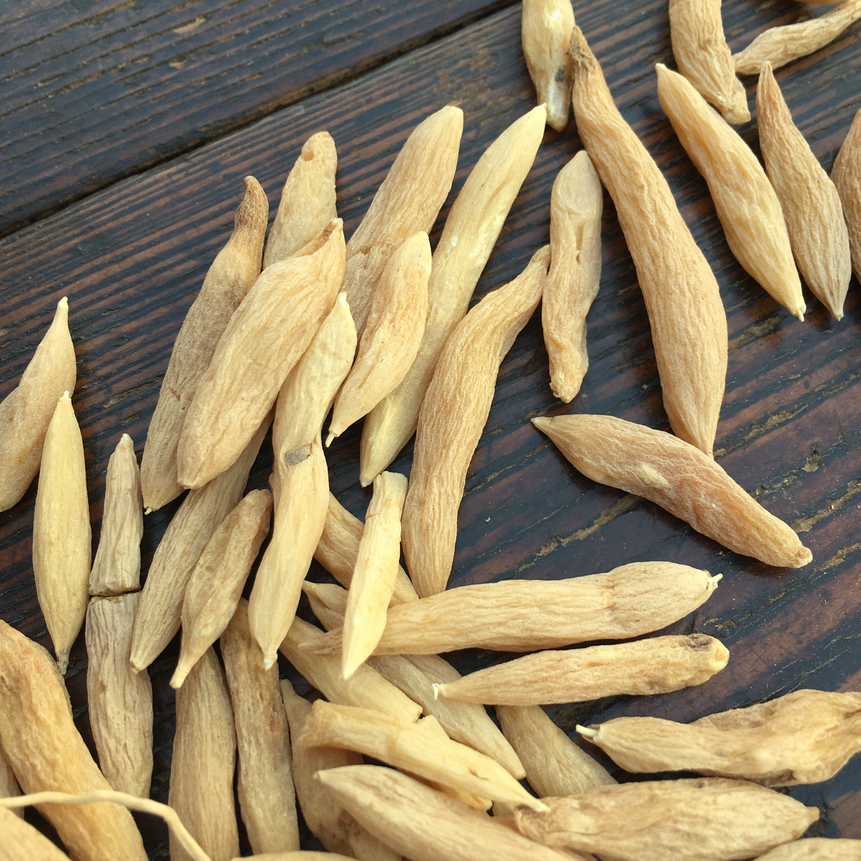 麦冬干货新干货甘草大海黄芪500克可配泡茶水泡麦冬