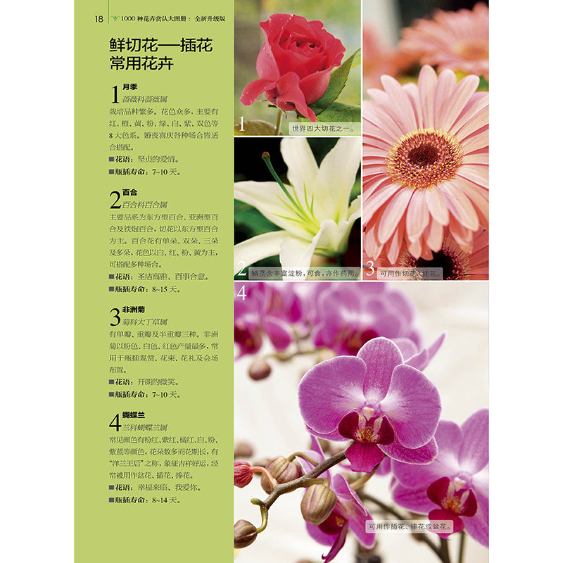 1000种花卉赏认大图册花的书籍花卉书籍图书大全花艺