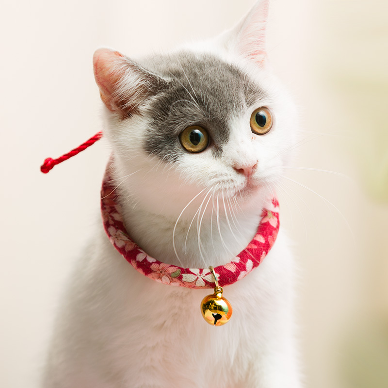 猫项圈猫铃铛项圈日本和风猫项圈猫领结猫项链猫咪用品宠物项圈