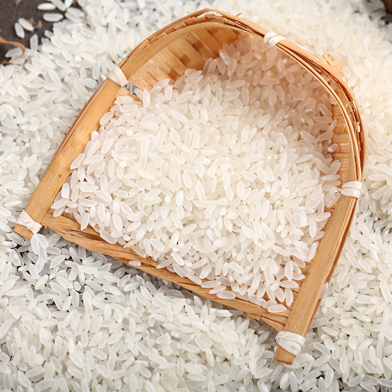 遮放贡米新米云南特产大米放小毕朗20斤德宏大米