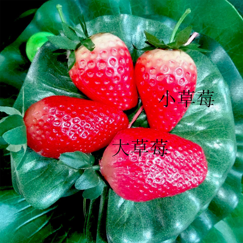 仿真迷你草莓水果蔬菜面包幼儿早教摄影餐厅仿真水果