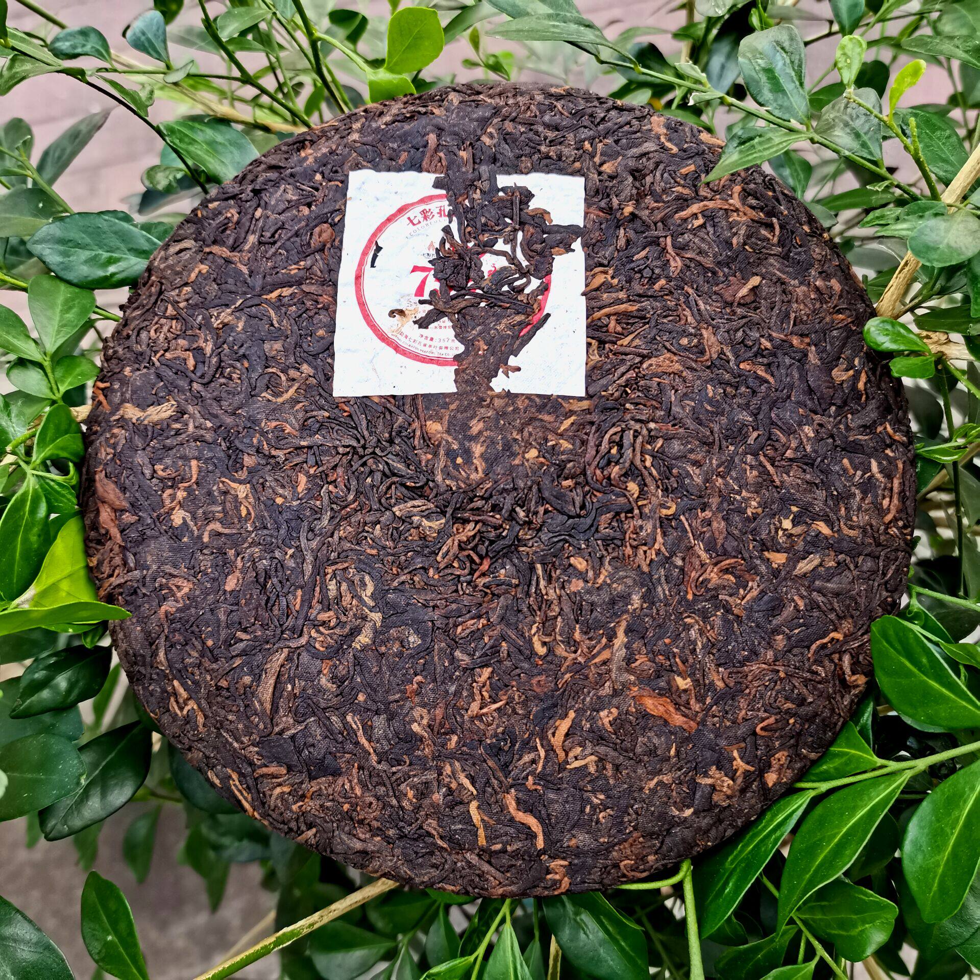 2021年云南七彩孔雀普洱茶熟茶7521饼茶357克单饼健茶业普洱