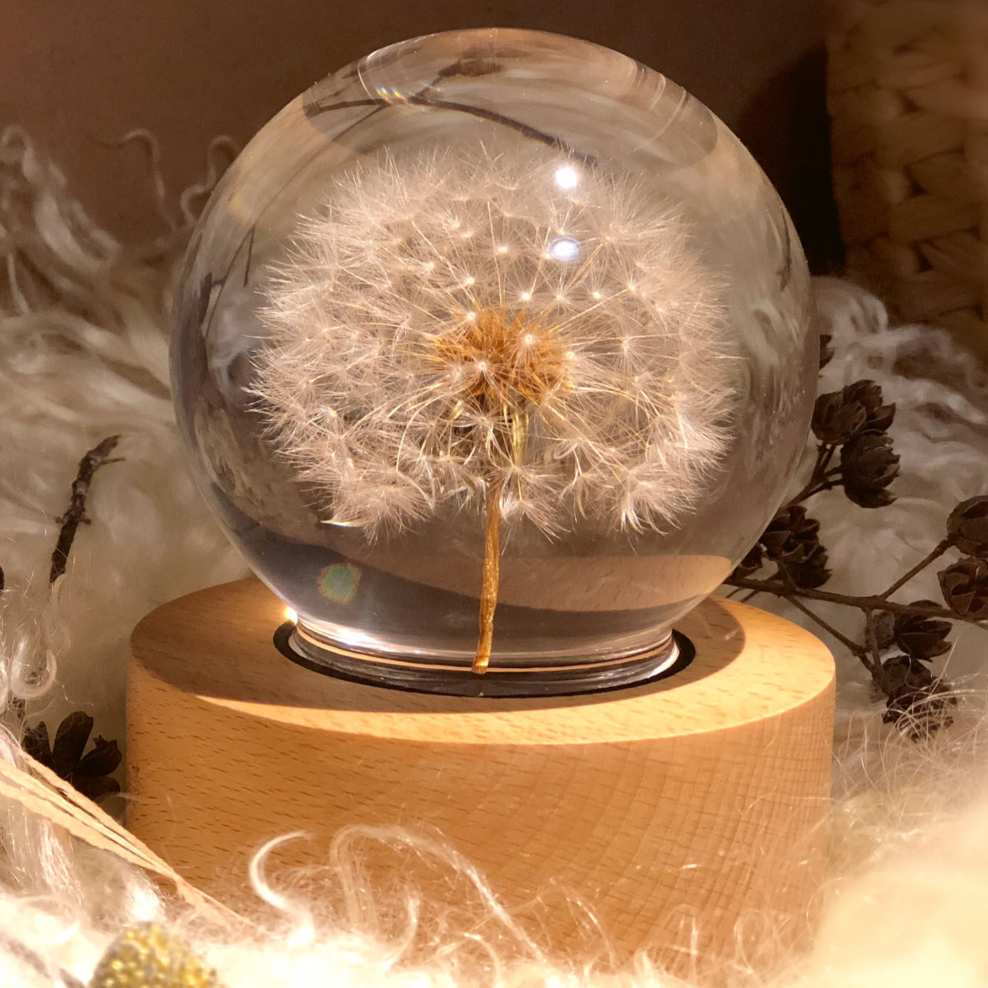 蒲公英永生花标本水晶球特色女生生日圣诞礼物闺蜜音乐盒
