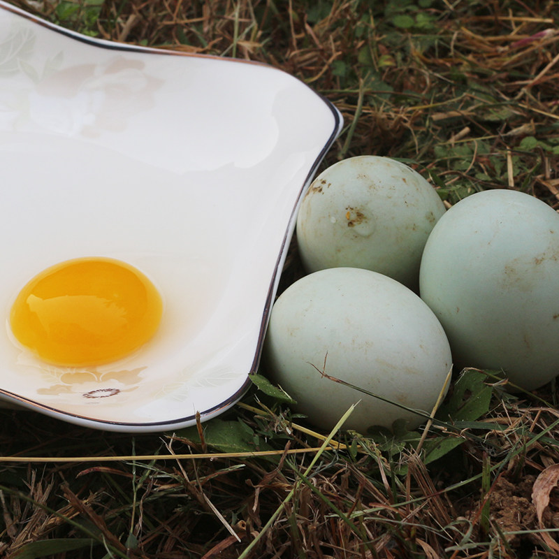 【30枚】生态农家散养红心草鸭蛋