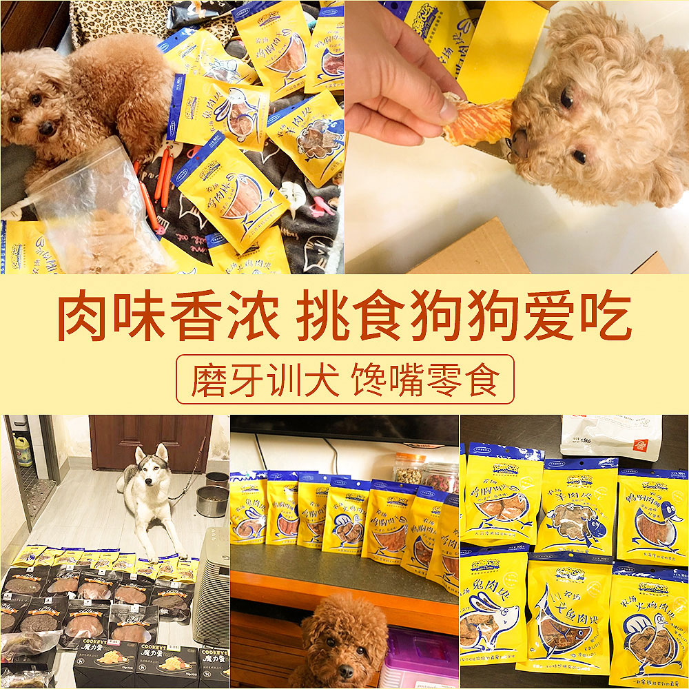 另类宠物店一般进哪些宠物_《另类宠物店创业方案》_另类宠物店创业方案