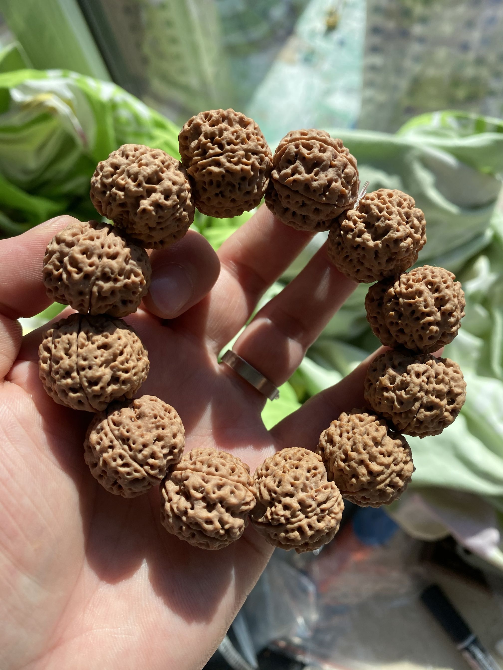 尼泊尔大金刚蜂王药王沉水籽23mm