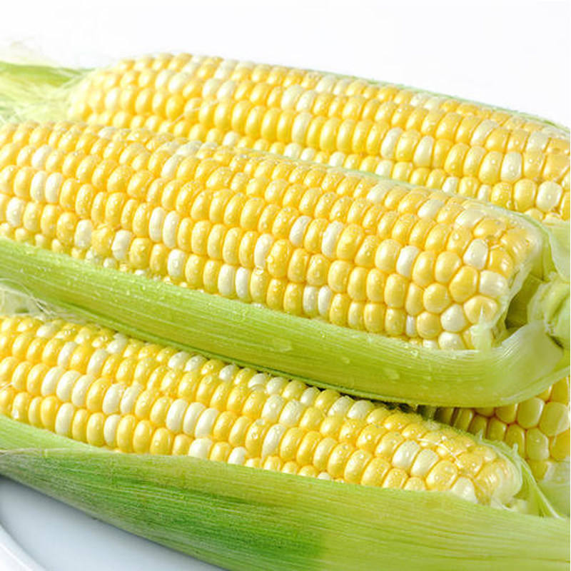 云南金银水果玉米整箱现摘带皮新鲜蔬菜食用新鲜玉米