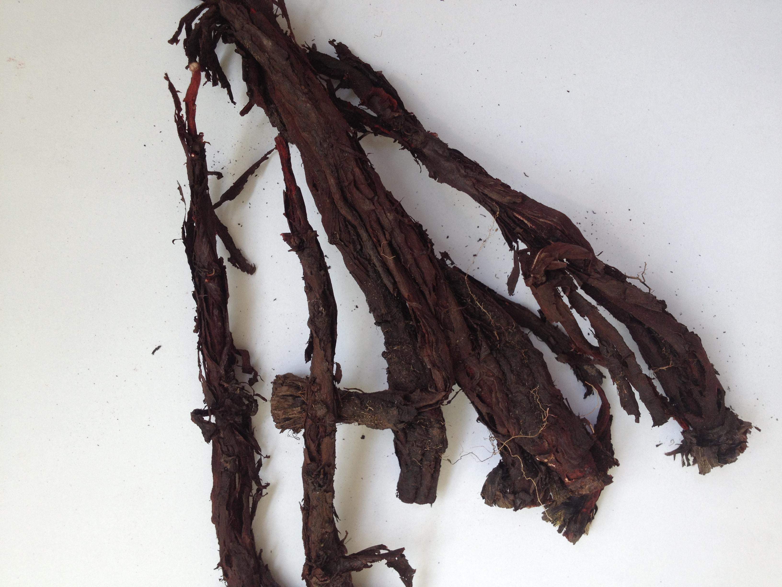 新货 野生软紫草 新疆软紫草根 可做紫草油紫草膏100克包邮88元