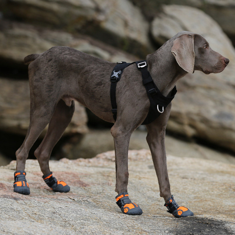 truelove狗狗鞋子狗鞋泰迪宠物不掉脚套金毛用品宠物鞋子